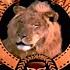 Metro Goldwyn Mayer Logo History