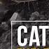 Бульдозер Cat D11 Преимущества самого большого бульдозера Caterpillar