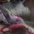 Fabriclive 91 Special Request 2017 Full Mix Album