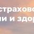 Как выбрать страховой полис жизни и здоровья