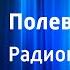 Константин Кондря Полевые цветы Радиопостановка