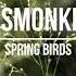 Chillhop Music Cosmonkey Spring Birds Chillplace