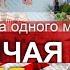 Готовит ли Нуланд новое печенье для революции С кем и почему хотят дружить США Понятная политика
