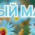 НЕВЕРОЯТНО КРАСИВАЯ МУЗЫКА Тёплый май