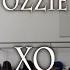 OZZIE XO Pedrolobo Ozziebeats