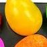 Satisfying Video Rainbow Mixing All Lollipop Color EGGS From Rainbow Magic Candy Cutting ASMR