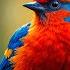 Most Beautiful Birds In The Forest Breathtaking Nature Relaxing Sounds For Stress Relief