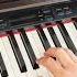 Titanic Theme Song Piano Tutorial