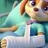 Paw Patrol Ultimate Rescue SKYE Mermaid Got Sick Please Don T Give Up Sad Story Rainbow 3