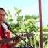 Roman Music Come And Get Your Love By Redbone