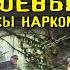 Боевые асы наркома Александр Тамоников Аудиокнига