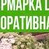 Ярмарка цветов Обзор декоративной зелени