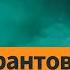 Шендерович Госдума фактически легализует рабовладение Что Асад сделал для России Ход мысли