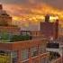 Epic Sunset In The City Tiktok Thehorsespurse