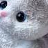 FUFUSQUISHY ASMR Gray Cat
