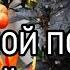 Огород на подоконнике Что сделать для урожая огурцов помидор перца зимой на окне