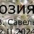 С В Савельев Иллюзия ума