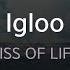 Igloo KISS OF LIFE KY 71794 KY KARAOKE