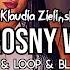 Klaudia Zielińska Zazdrosny Wzrok Tr Fle LOOP Black Due REMIX