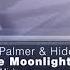 Derek Palmer Hidden Tigress In The Moonlight Extended Mix