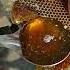100 Pure Honey Shorts Purehoney Honeybees Shortsfeed