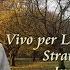 Vivo Per Lei Andrea Bocelli Instrumental Guitar Cover By Stratsound 2023