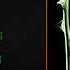 Type O Negative Haunted