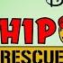 Lets Play Chip N Dale Rescue Rangers Vol 1 German Blind