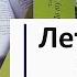 Летний рай Часть 7 из 11 Аудиокнига