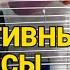 Декоративные крысы уход и содержание Как ухаживать за крысой