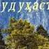 Курбон модар