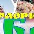 Неделя флориста в Дубае Знакомство с городом Экскурсия в цветочные магазины Дубая