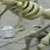 скелет флексит 1 минуту под нюхай бебру