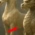 MOST Unsolved Mysteries That Cannot Be Explained Part 5 Ancient Mysteries Science Can T Explain