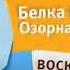 Анонс Карусель Белка и стрелка озорная семейка 07 2015