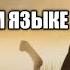 Умар ибн аль хаттаб 7 серия на русском языке