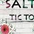 SALTY TIC TOC Audio