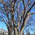 Spring Is Here Beautiful Day Grandmavlogs Spring Beautifulday