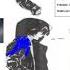 Full Circle Anime Character 1 Kira Oyisha End Or Something Like That