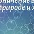 Биология 7 кл Пасечник 11 Значение водорослей в природе и жизни человека