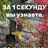 МОЖНО ЛИ САЖАТЬ В МИНУС Разбираемся в описании к этому видео дача цветынадаче сад сажать