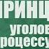 Принципы уголовно процессуального права