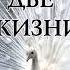 Две жизни Анатарова Конкордия Книга 2 Часть 3 Аудиокнига