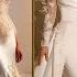 100 Beautiful Wedding Dresses A Showcase Of Timeless Bridal Elegance