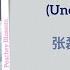 意外时光 Unexpected Time 张磊 Zhang Lei 偷得将军半日闲 The Substitute Princess S Love