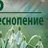 Малахитовая капель караоке Божественное песнопение поможет открыть способности человека Сидхи