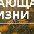 Молитва Непрестающая сила жизни Исцеление для всего тела Nebesnayacivilizacia Андрей Яковишин