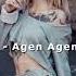 Elsen Pro Agen Agen