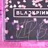 Unboxing Blackpink VIP All Access Box