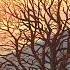 Winter Beautiful Chill Music Mix